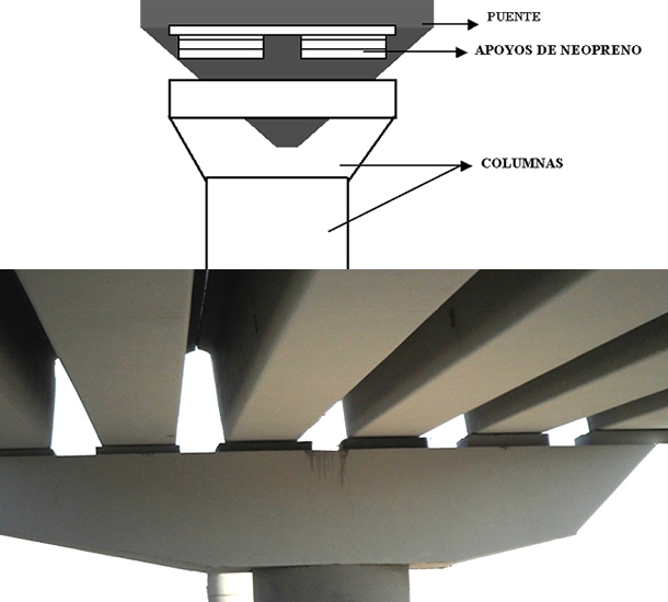 Aplicación y uso de neoprenos