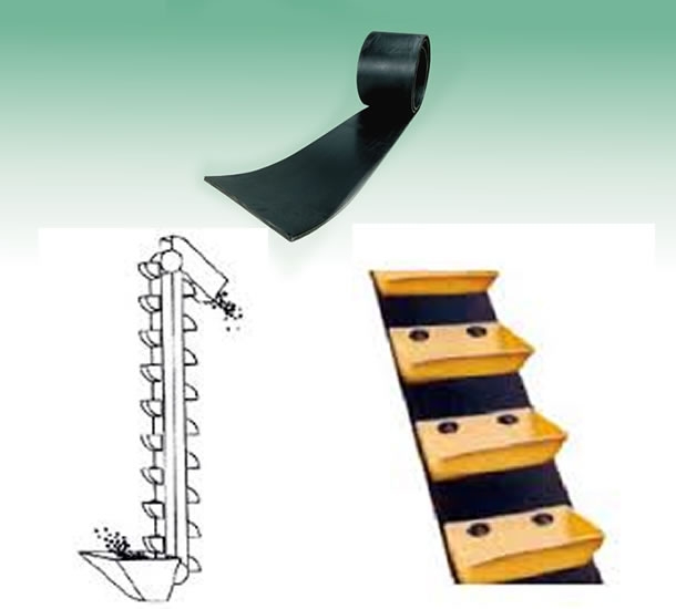 Correas Elevadoras